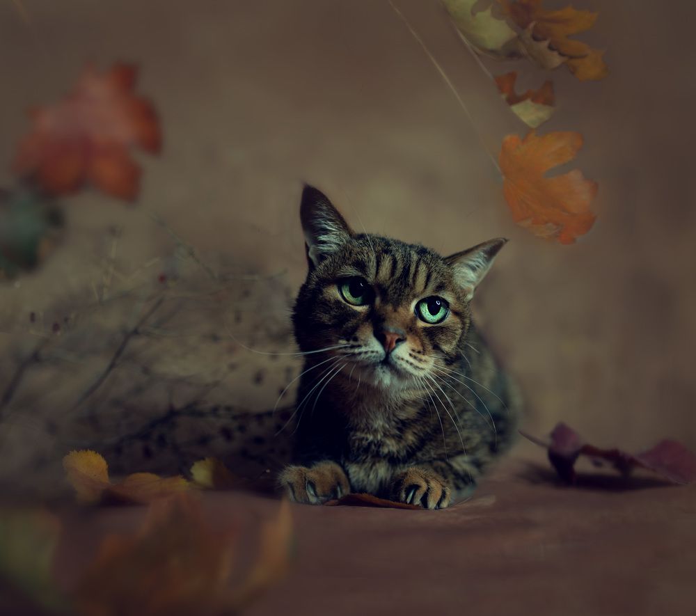 Photograph by Natalya Rembeza