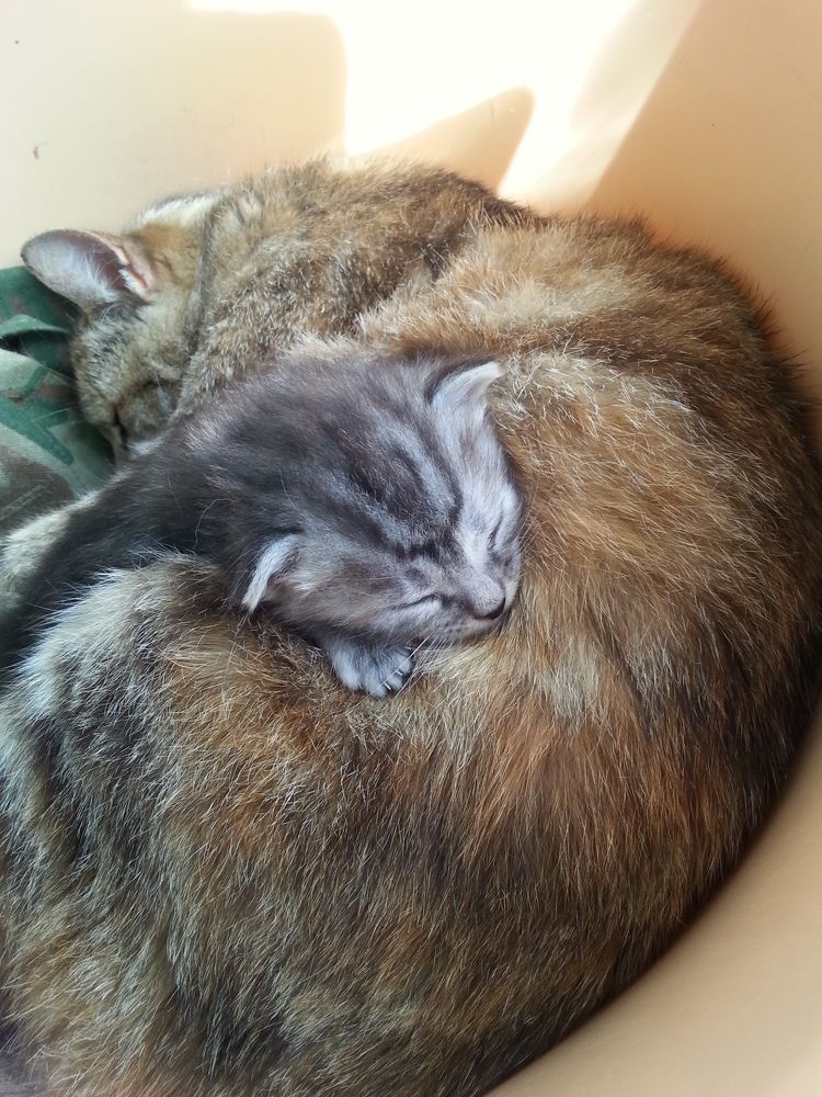 Photograph by Жанна Регор