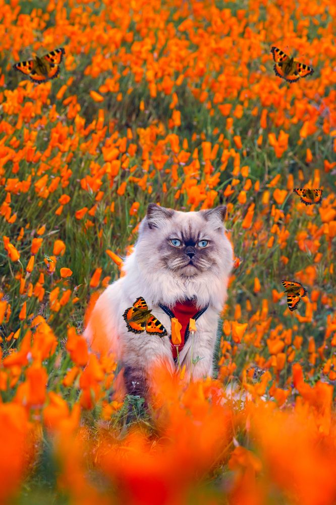 Photograph by Natalia