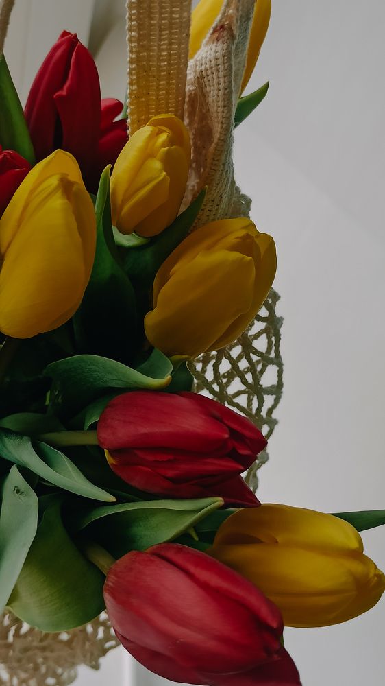 Photograph by Валентина Ильиных