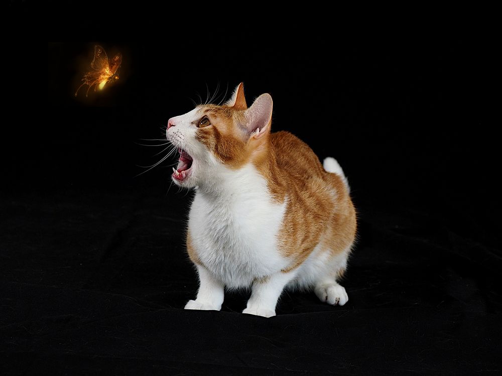 Photograph by Ilias Kapsomenakis