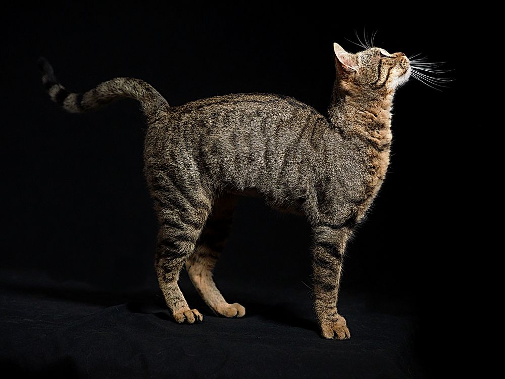 Photograph by Ilias Kapsomenakis