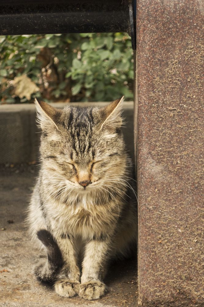 Photograph by Mahdi Farzami