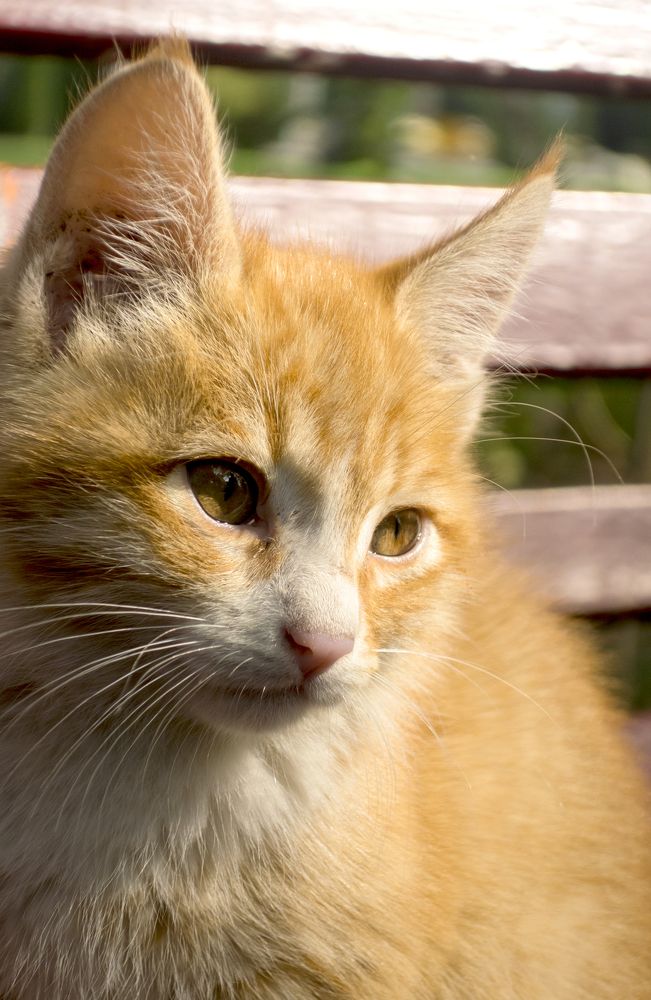 Photograph by Mahdi Farzami