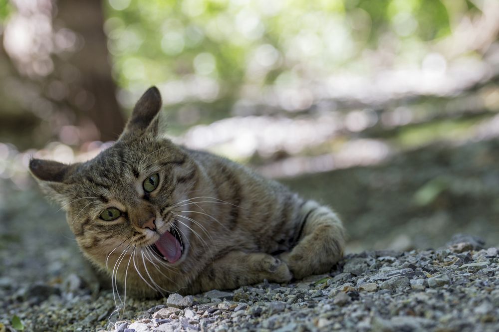 Photograph by Mahdi Farzami