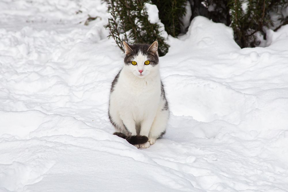 Photograph by Анатолий Мигов