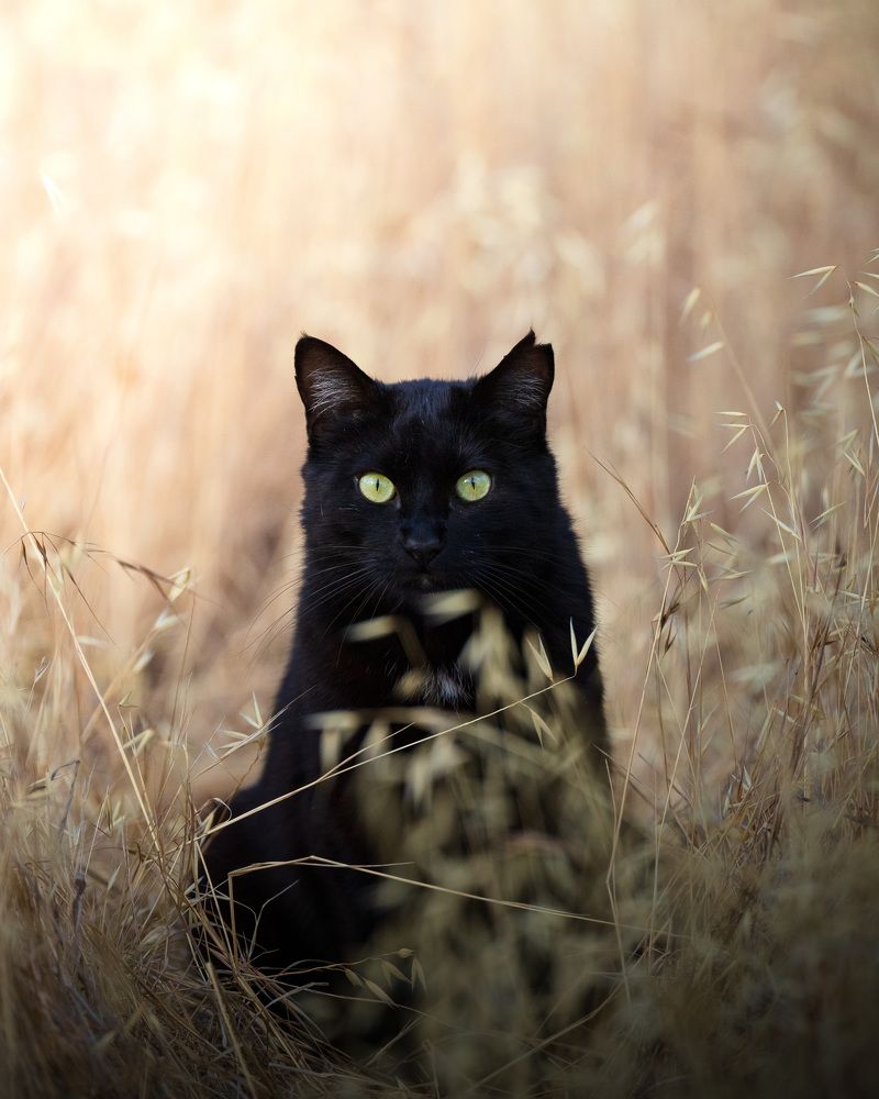 Фотография автора Karthik Subramaniam