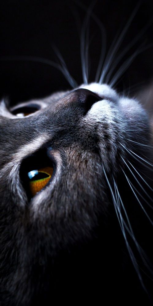 Photograph by Анна