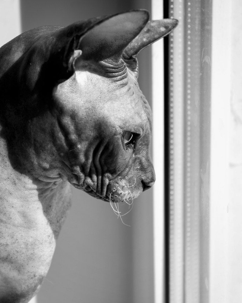 Photograph by Анна