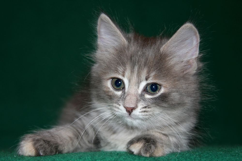 Photograph by Анатолий Бондаренко