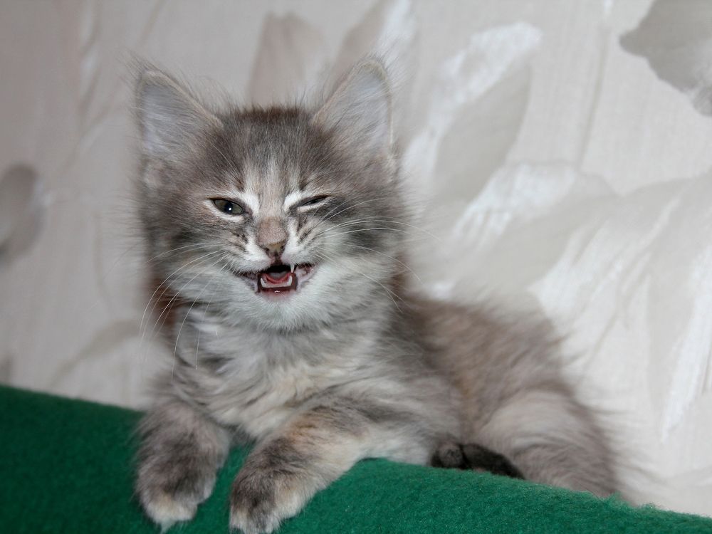 Всем привет...