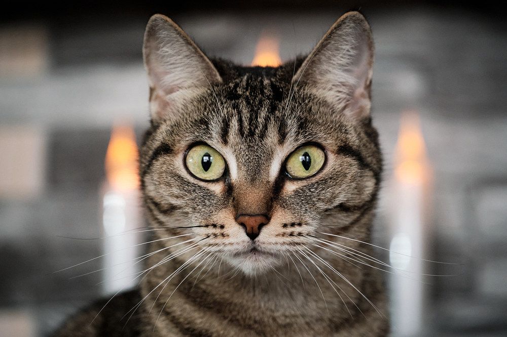 Photograph by Багурский Алексей