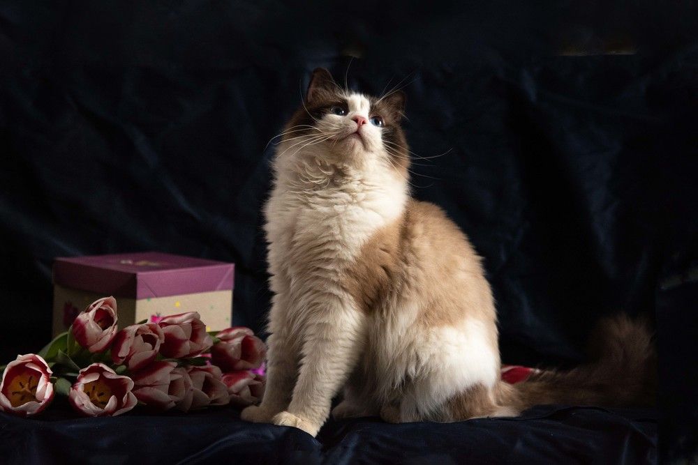 Photograph by Елена Мороз