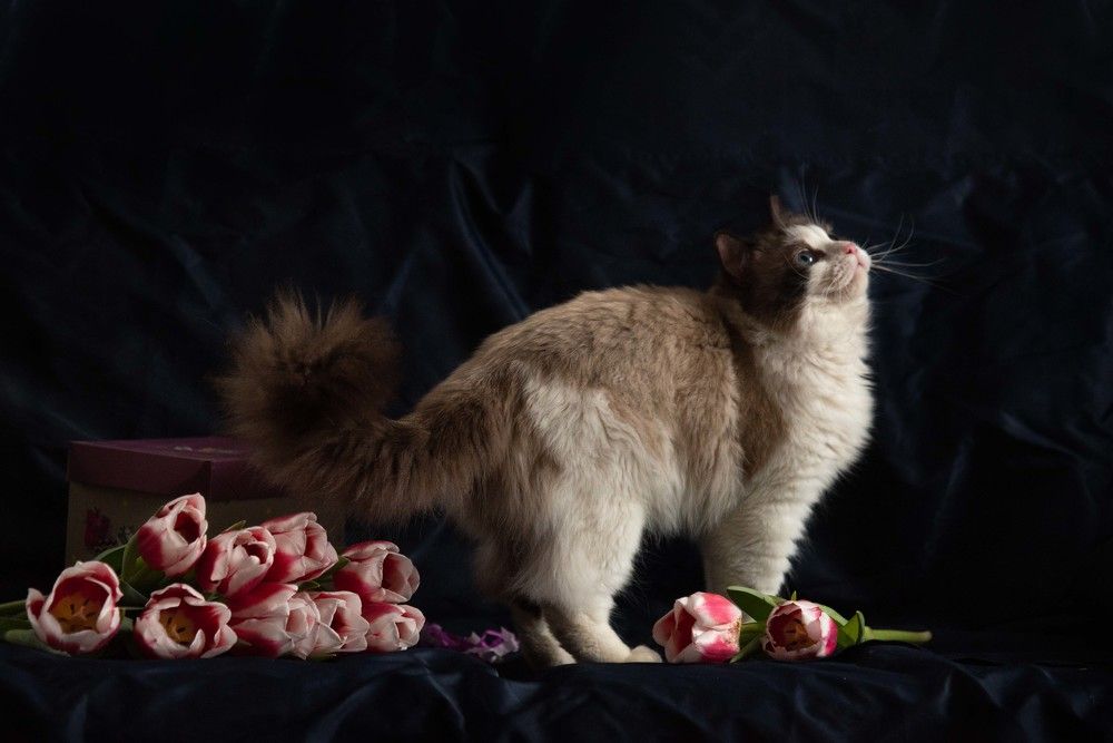 Photograph by Елена Мороз