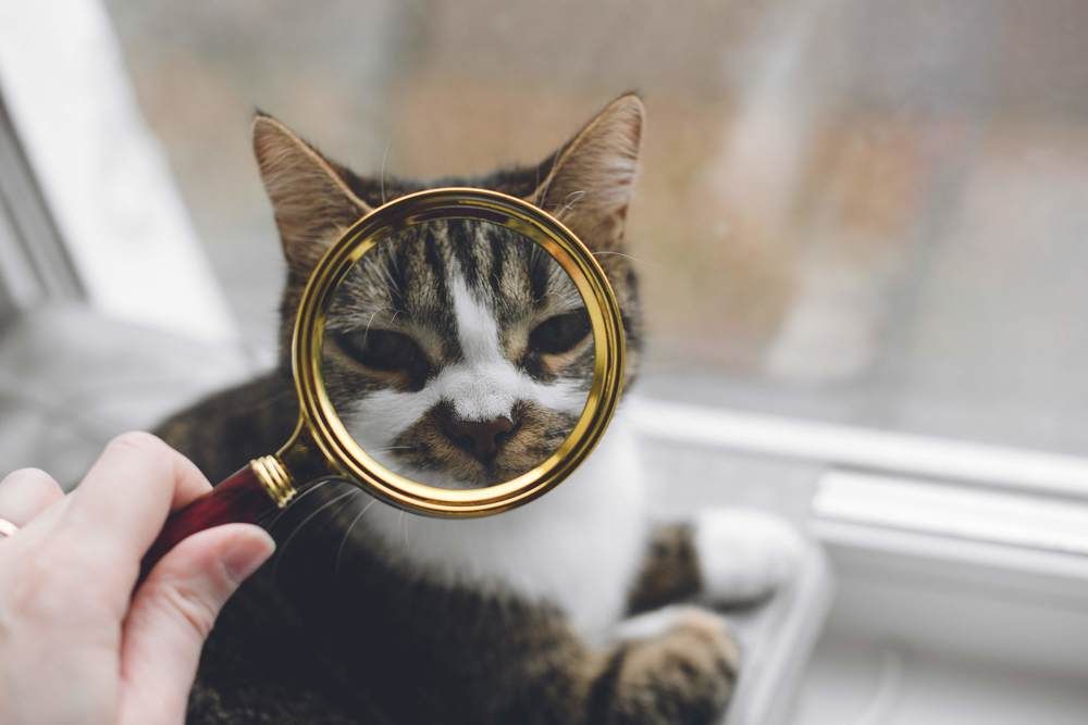 Photograph by Юлия Полуэктова