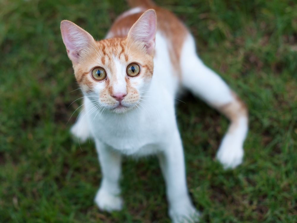 Photograph by Евгений Моляшов