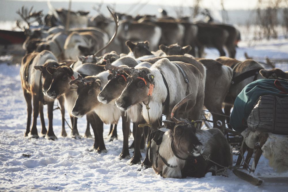 Photograph by Наталья Бондарева