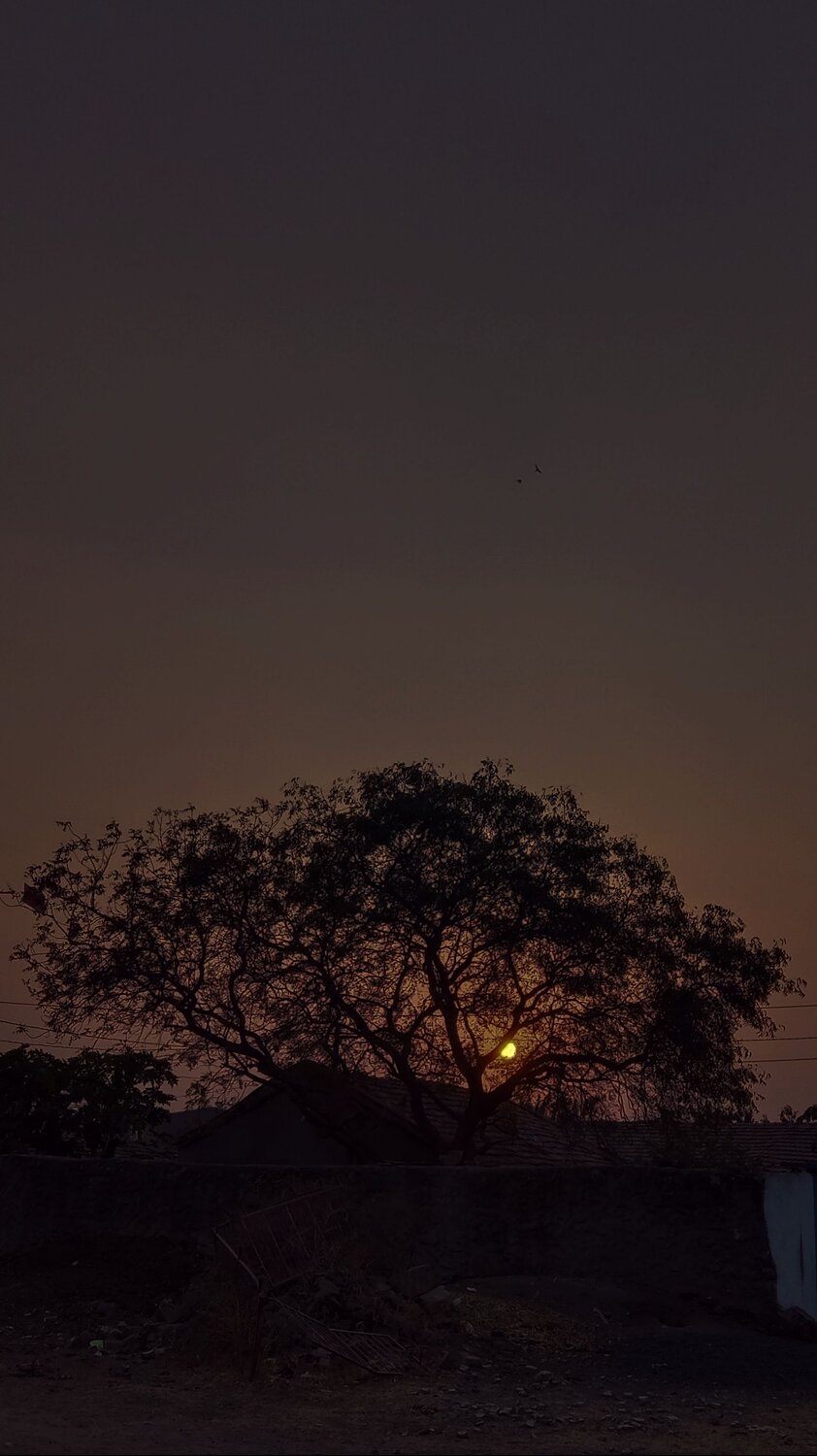 Photo #9002347