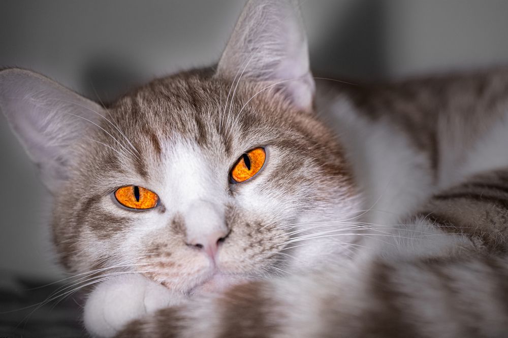 Photograph by Вадим Николенко