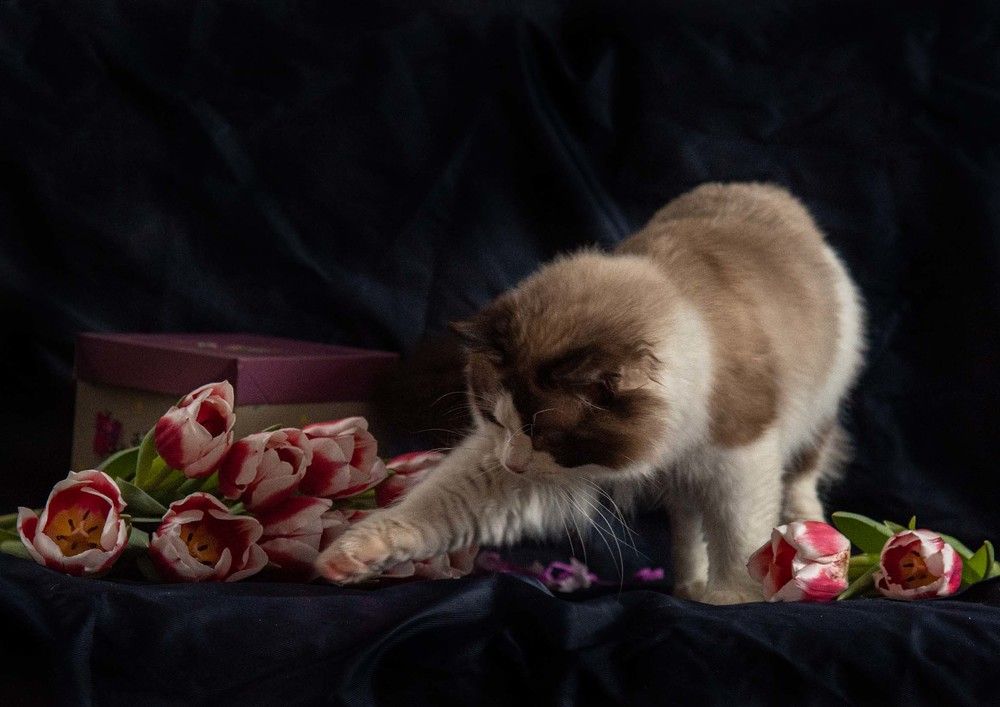 Photograph by Елена Мороз