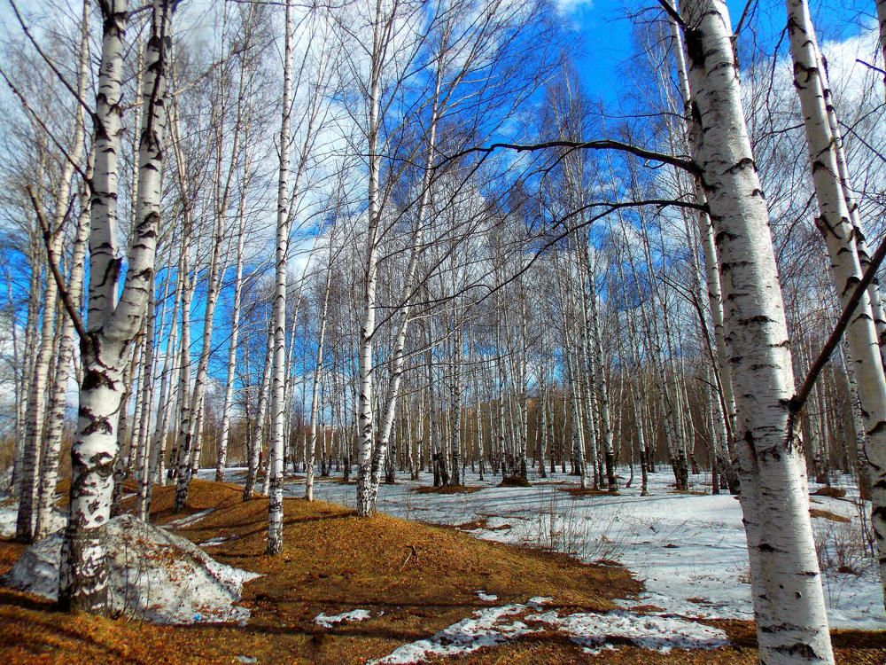 Photograph by салим насыпов