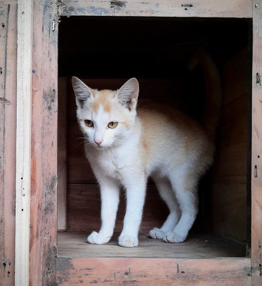 Photograph by Soham Misra