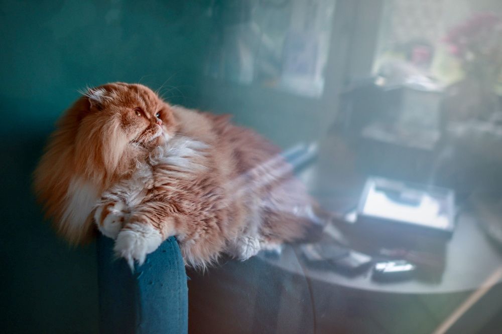 Photograph by Ольга Веретенникова