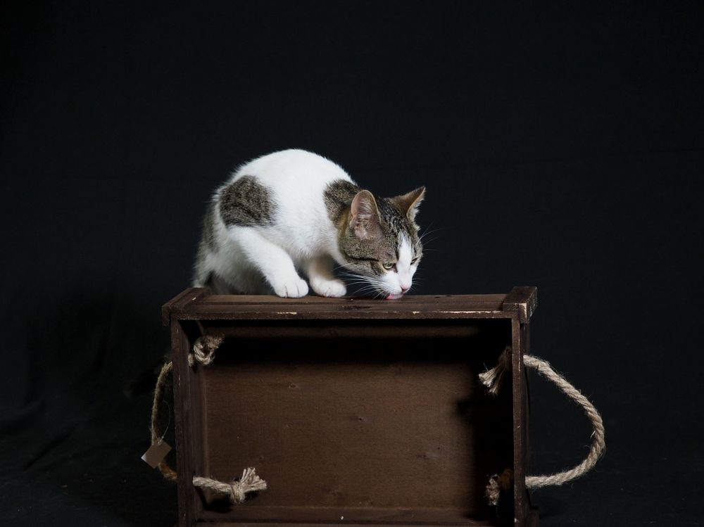 Photograph by Ilias Kapsomenakis