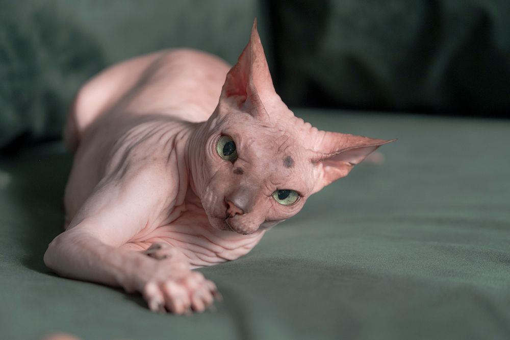 Photograph by Ольга Челдыкова