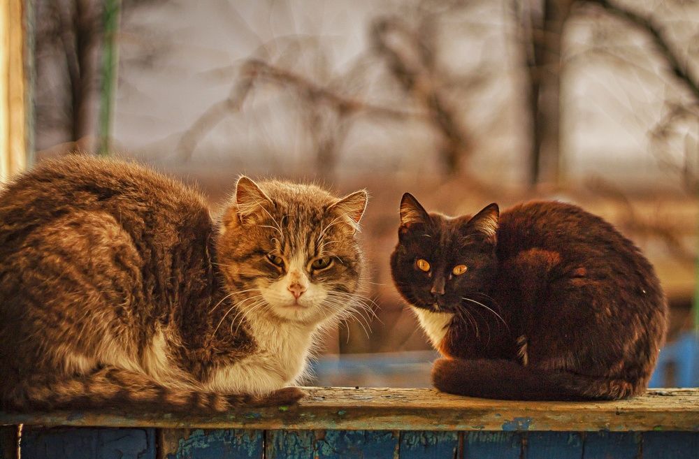 Photograph by Наталья Исиченко