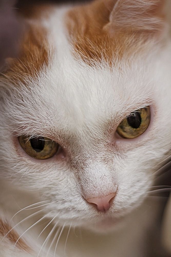 Photograph by Екатерина Першина