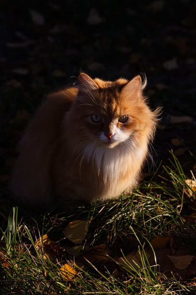 Photograph by Екатерина Першина