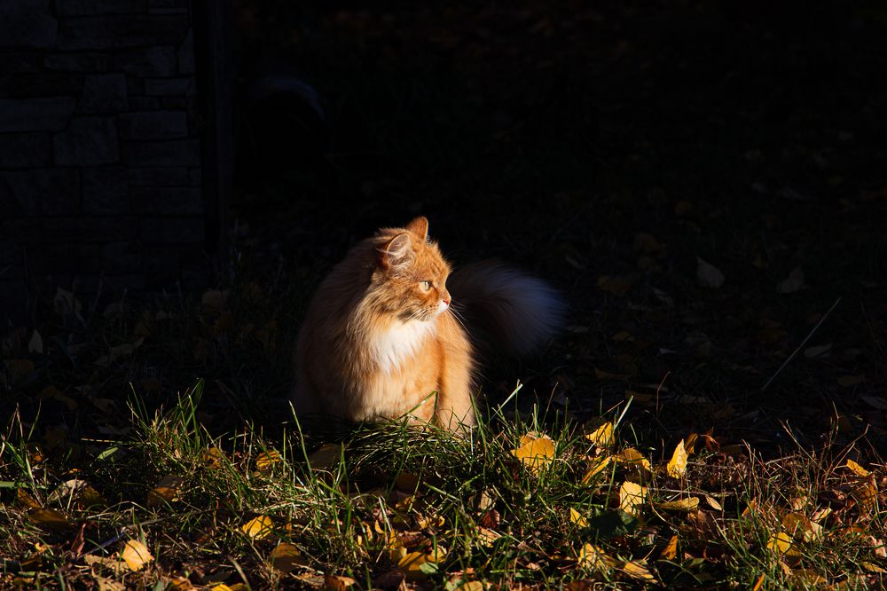 Photograph by Екатерина Першина