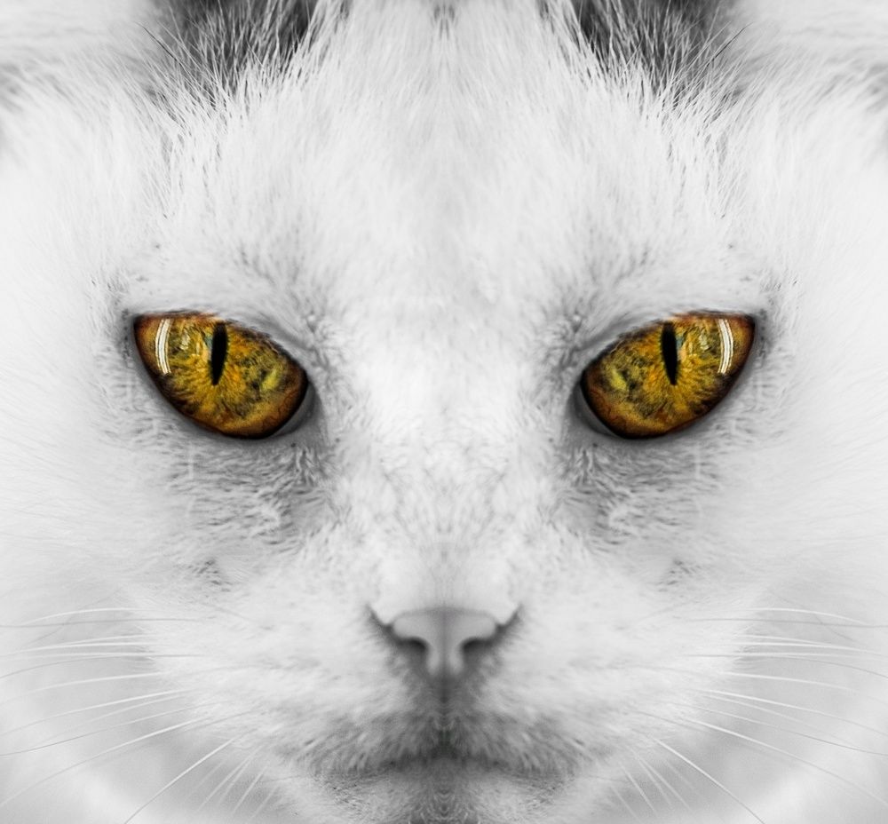 Photograph by Екатерина Першина