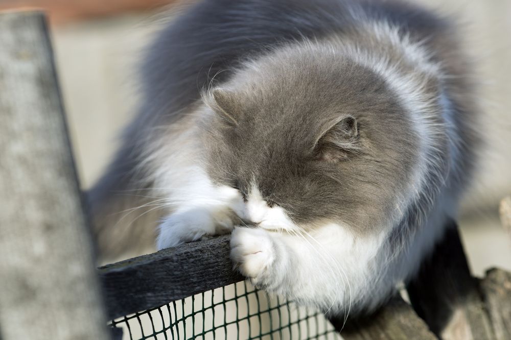 Photograph by Николай Ткач