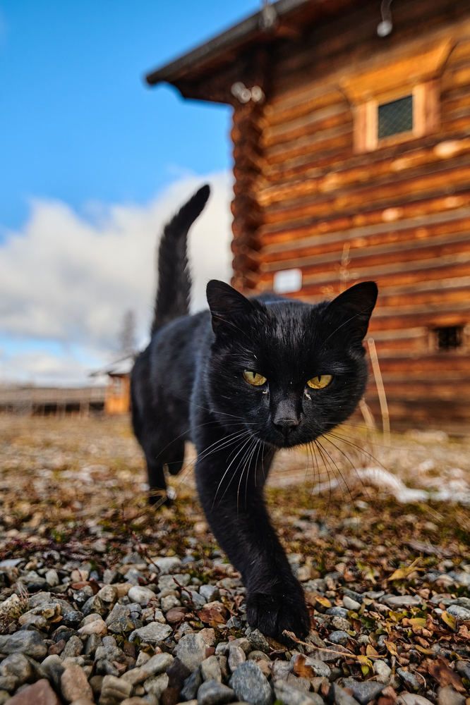 Photograph by Александр Мольков