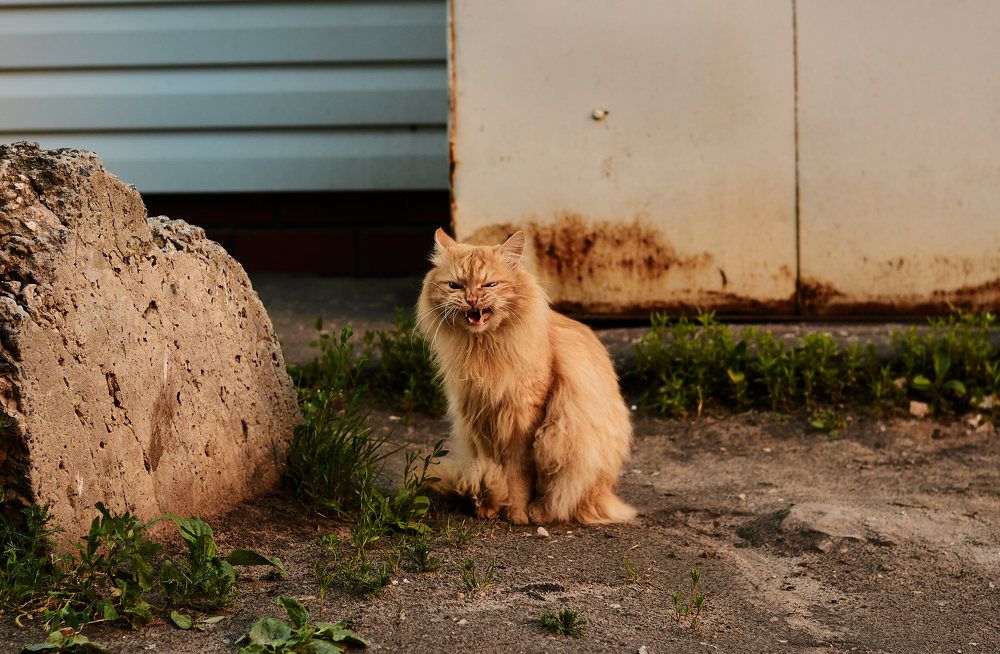 Photograph by Александр Мольков