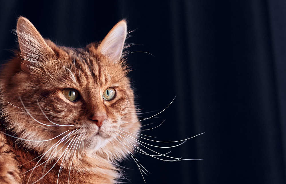 Photograph by Ольга Филатова