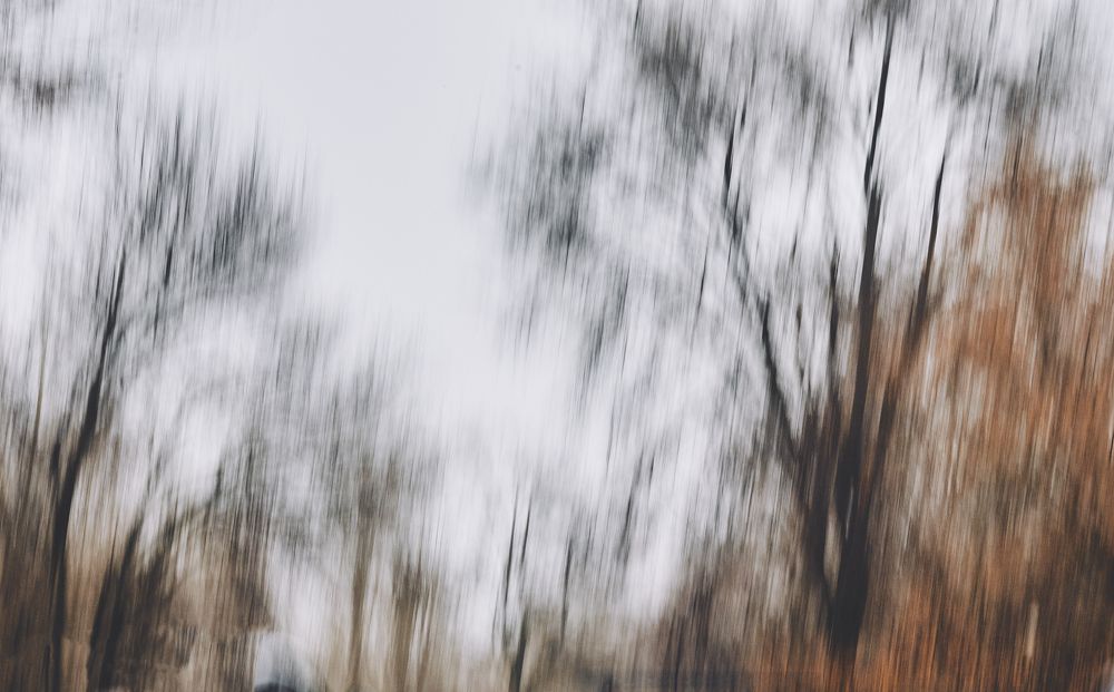 Photograph by Ольга Филатова