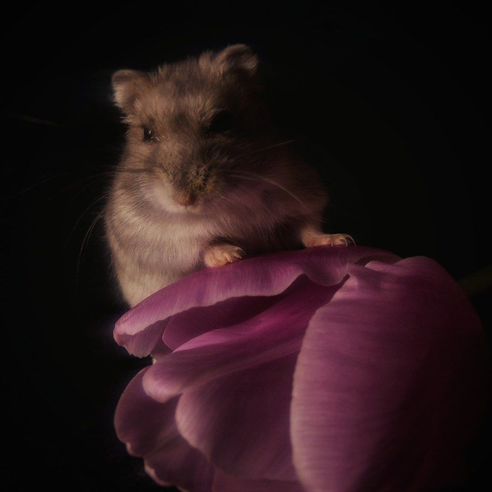 Фотография автора Анна