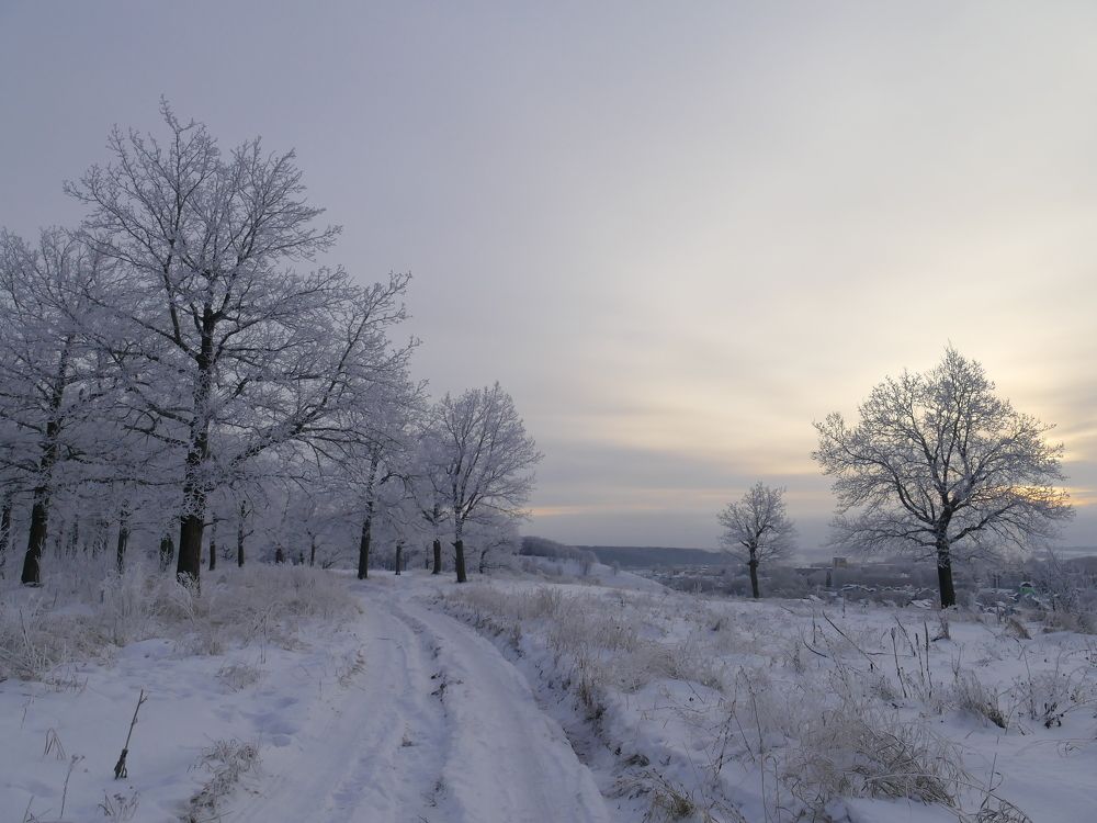 Photograph by Александр Кизим