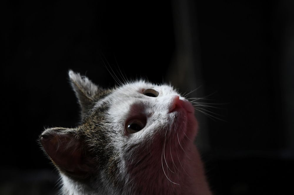 Photograph by Александр Перегудов