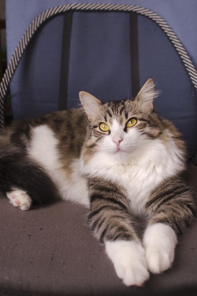 Фотография автора Людмила Куприянова