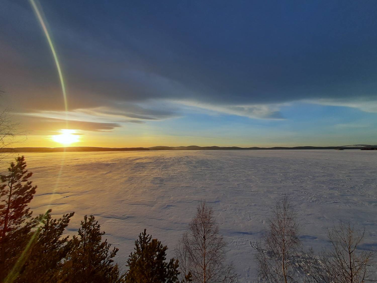 Photo #9002660
