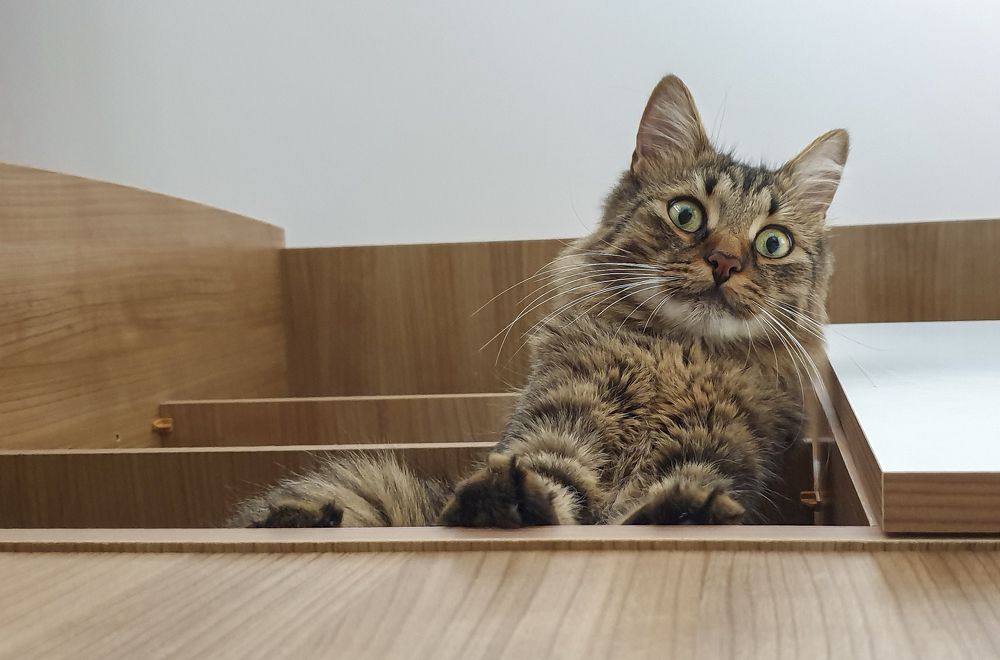 Photograph by Stamen Sotirov