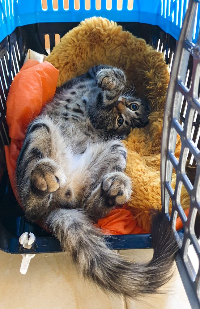 Photograph by Stamen Sotirov