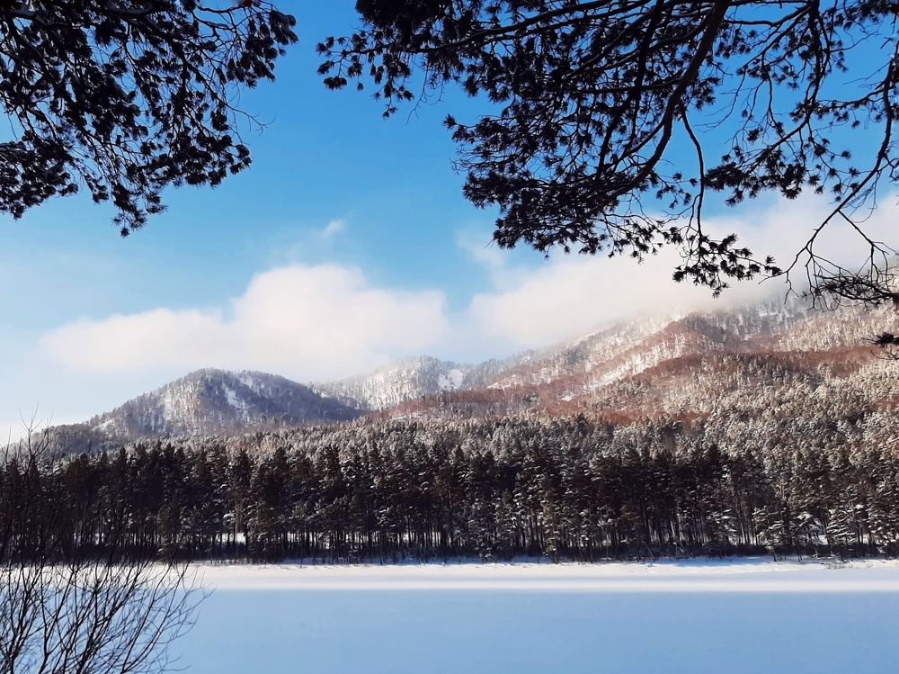 Photograph by Юлия Серазетдинова