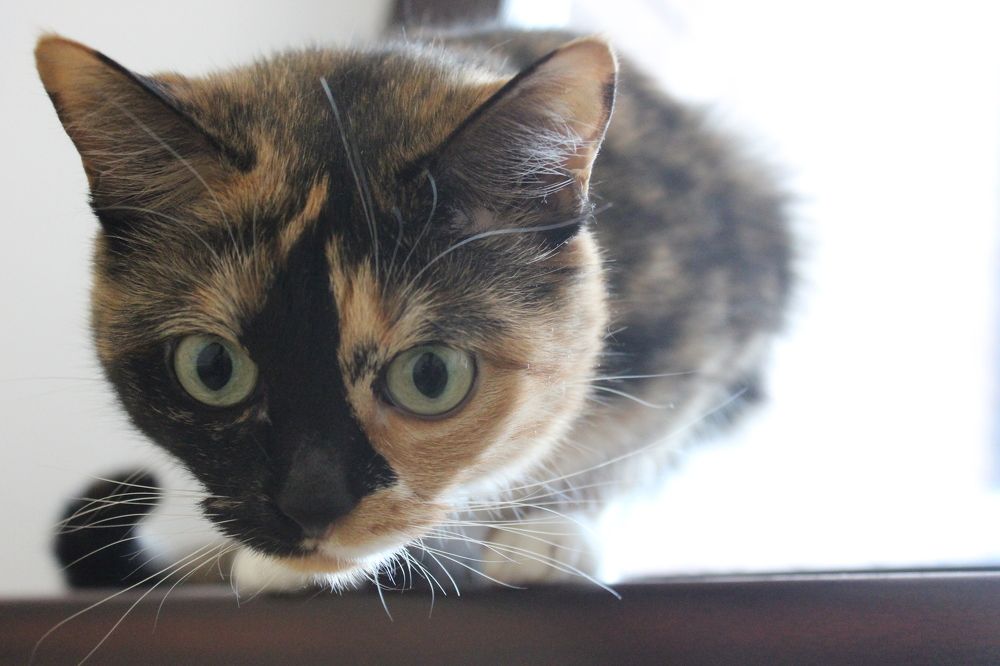 Photograph by Anastasia Kodatenko