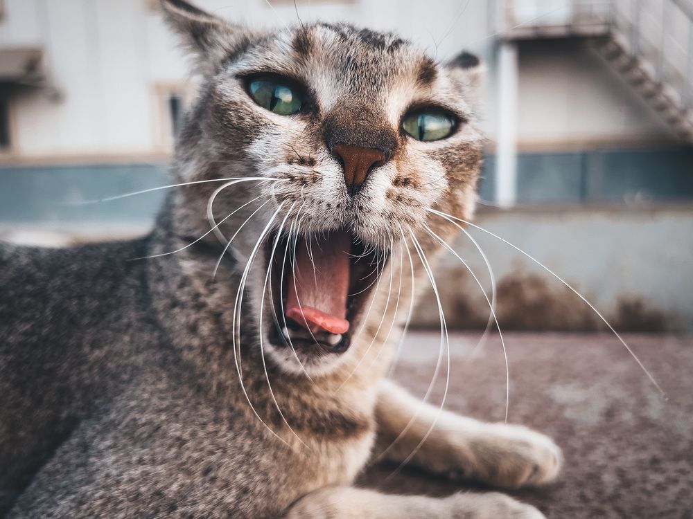 Photograph by Сергей Шишкин