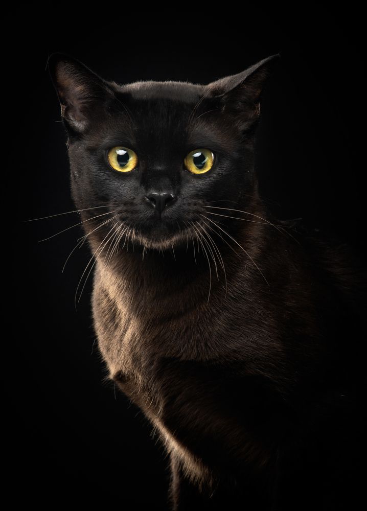 Фотография автора Katerina Mumzhinskaya